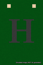 A simulated image of the stitched needlepoint design: Banner 18m Squared H Black on Green. Not A.I. generated.