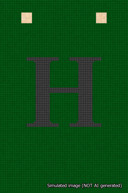 A simulated image of the stitched needlepoint design: Banner 18m Squared H Black on Green. Not A.I. generated.