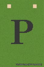 A simulated image of the stitched needlepoint design: Banner 18m Squared P Black on Light Green. Not A.I. generated.