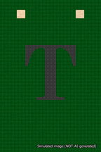 A simulated image of the stitched needlepoint design: Banner 18m Squared T Black on Green. Not A.I. generated.