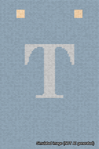 A simulated image of the stitched needlepoint design: Banner 18m Squared T White on Light Blue. Not A.I. generated.