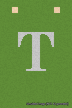 A simulated image of the stitched needlepoint design: Banner 18m Squared T White on Light Green. Not A.I. generated.
