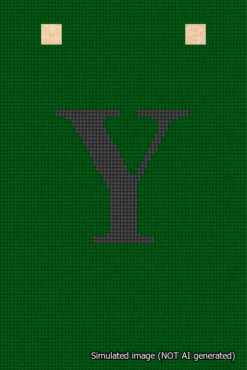 A simulated image of the stitched needlepoint design: Banner 18m Squared Y Black on Green. Not A.I. generated.