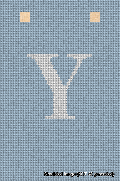 A simulated image of the stitched needlepoint design: Banner 18m Squared Y White on Light Blue. Not A.I. generated.